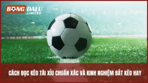 Cách Đọc Kèo Tài Xỉu Chuẩn Xác Và Kinh Nghiệm Bắt Kèo Hay