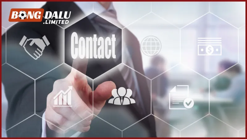 Thông tin liên hệ chính thức của trang web Bongdalu